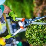 Services entretien espaces verts dans le 78