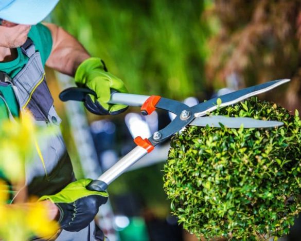 Services entretien espaces verts dans le 78